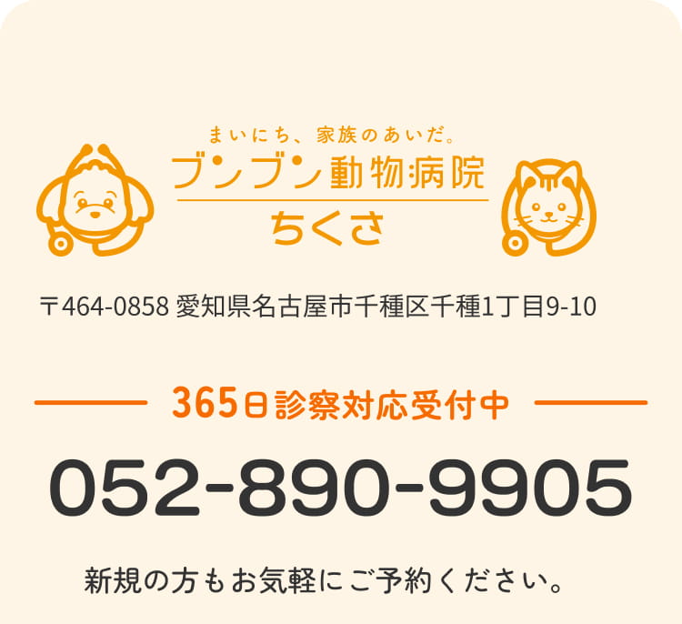 365日診察対応受付中 052-890-9905 新規の方もお気軽にご予約ください。